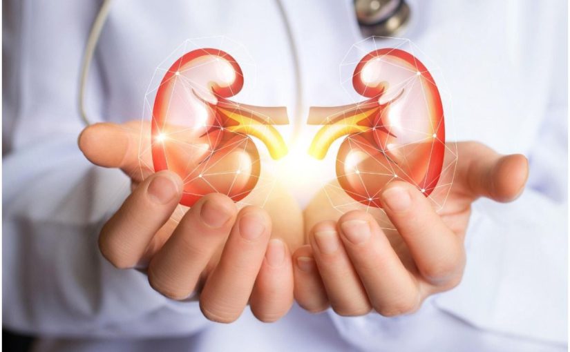 Suffering From Kidney Diseases? 5 Super-Foods That You Must Include In Your Diet