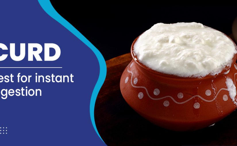 Health And Beauty Benefits of Curd